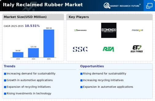 Italy Reclaimed Rubber Market Infographic