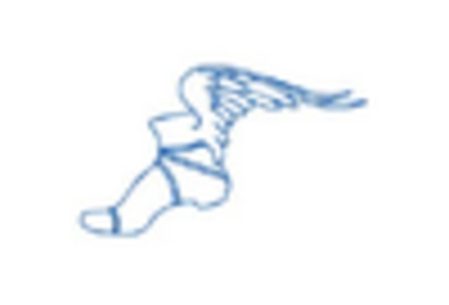 Brazil Reclaimed Rubber Market key player