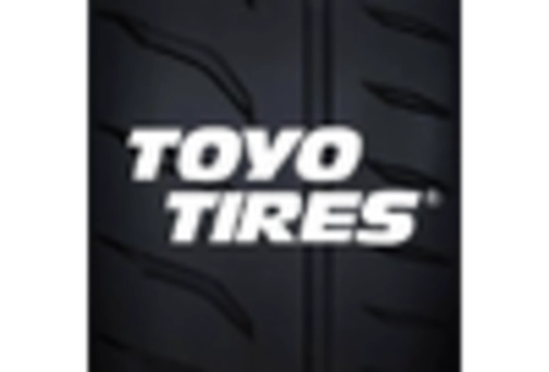 Brazil Reclaimed Rubber Market key player