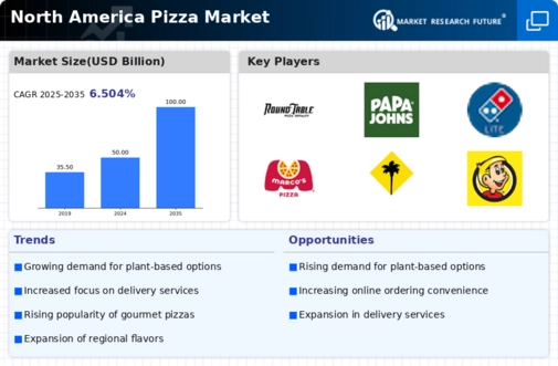 North America Pizza Market Infographic