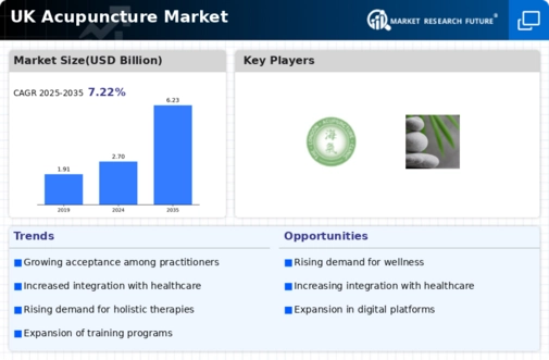 UK Acupuncture Market Infographic
