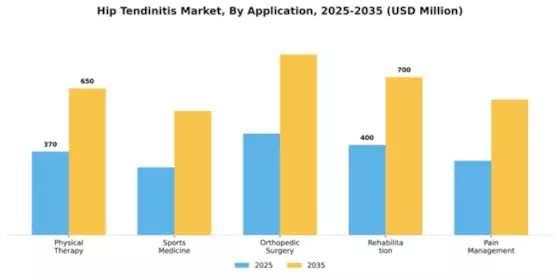 Hip Tendinitis Market Segment Image 0
