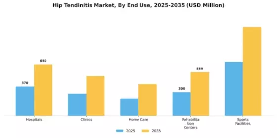 Hip Tendinitis Market Segment Image 1