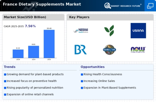France Dietary Supplements Market Infographic