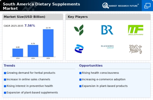 South America Dietary Supplements Market
 Infographic