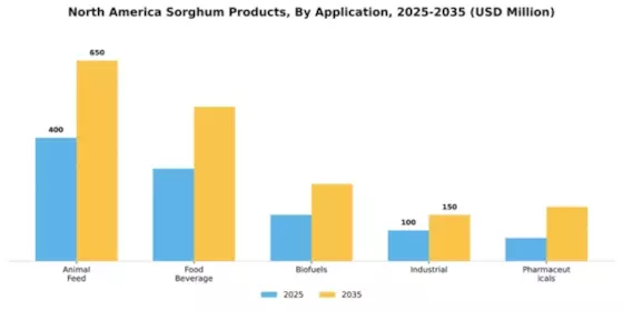 North America Sorghum Products Market Segment Image 0