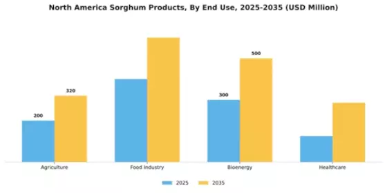 North America Sorghum Products Market Segment Image 1
