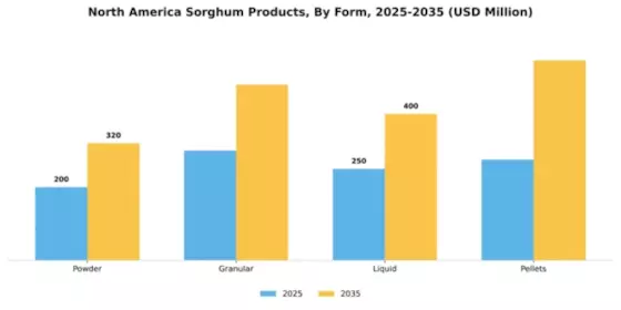 North America Sorghum Products Market Segment Image 2