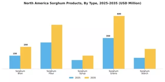 North America Sorghum Products Market Segment Image 3