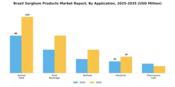 Brazil Sorghum Products Market Segment Image 0