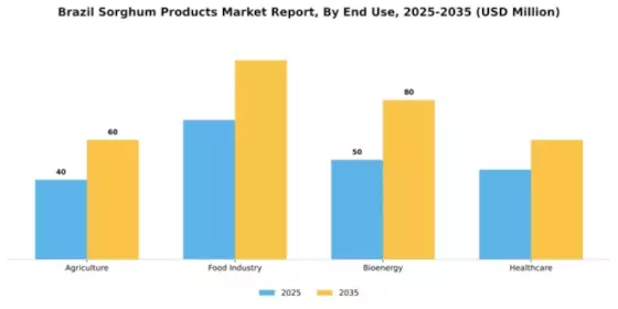 Brazil Sorghum Products Market Segment Image 1