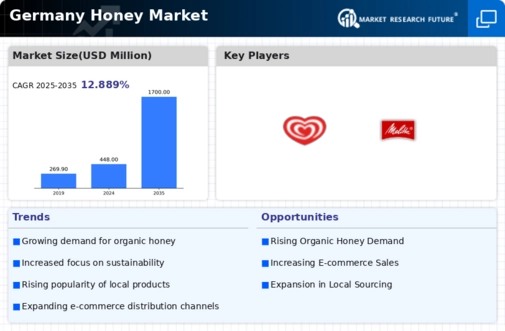 Germany Honey Market Infographic