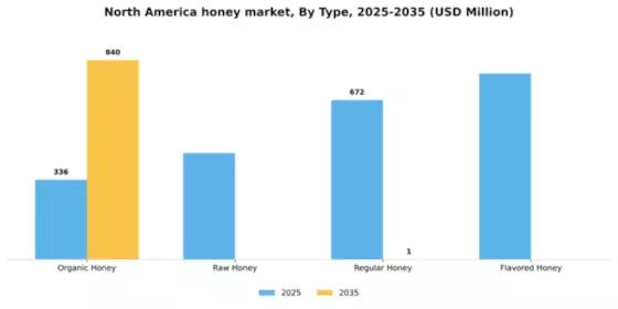 North America Honey Market Segment Image 3