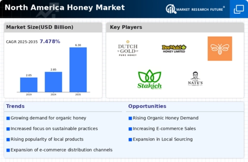 North America Honey Market Infographic