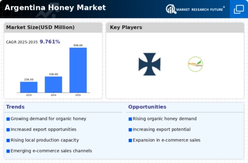Argentina Honey Market Infographic