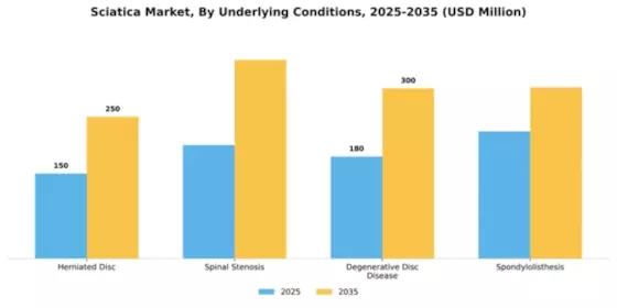 Sciatica Market Segment Image 4