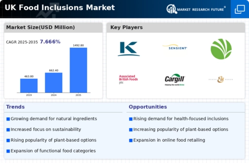 UK Food Inclusions Market Infographic