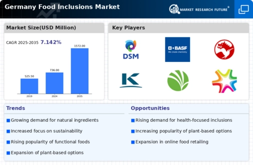 Germany Food Inclusions Market Infographic