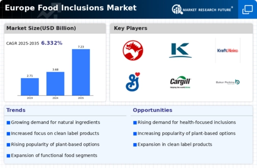 Europe Food Inclusions Market Infographic