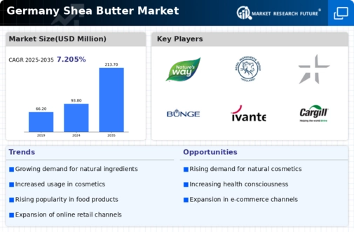 Germany Shea Butter Market Infographic