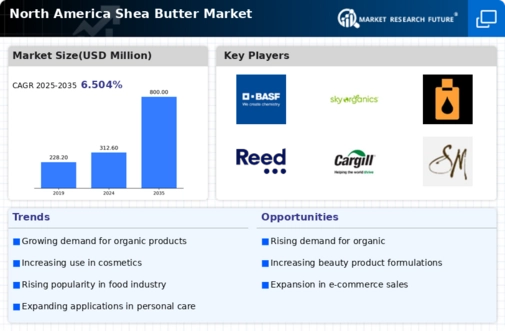 North America Shea Butter Market Infographic