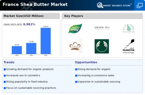 France Shea Butter Market Infographic