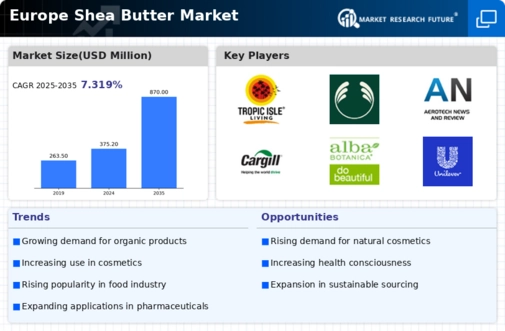 Europe Shea Butter Market Infographic