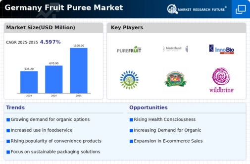 Germany Fruit Puree Market Infographic