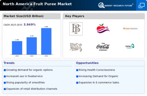 North America Fruit Puree Market Infographic