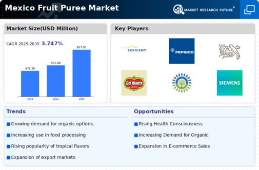 Mexico Fruit Puree Market Infographic