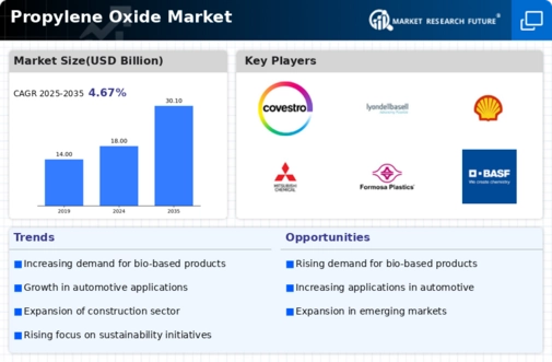 Propylene Oxide Market Infographic