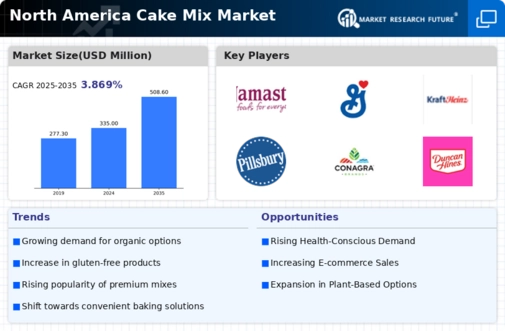 North America Cake Mix Market Infographic