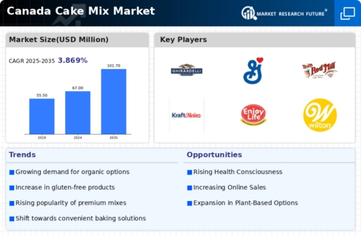 Canada Cake Mix Market Infographic