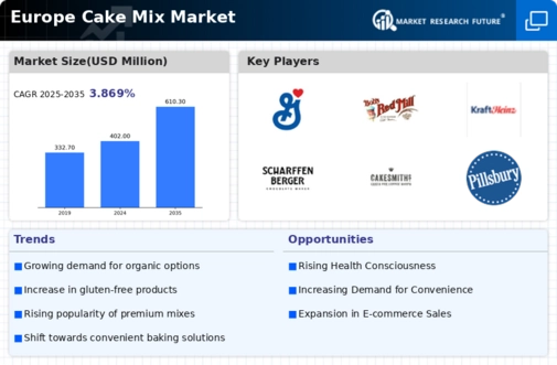 Europe Cake Mix Market Infographic