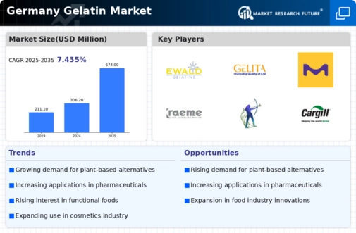 Germany Gelatin Market Infographic