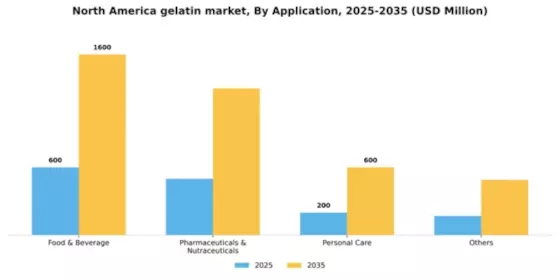 North America Gelatin Market Segment Image 0