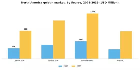 North America Gelatin Market Segment Image 1