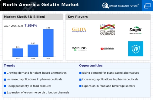 North America Gelatin Market Infographic