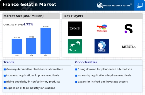 France Gelatin Market Infographic
