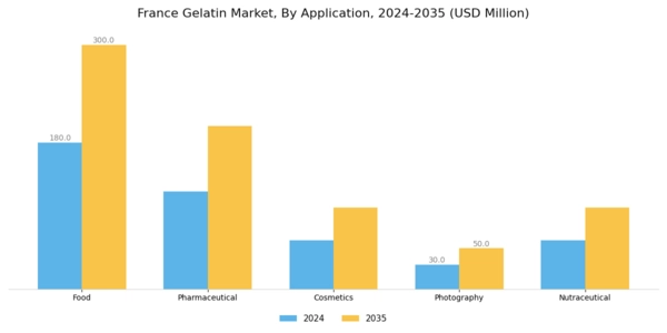 France Gelatin Market Segment Image 0
