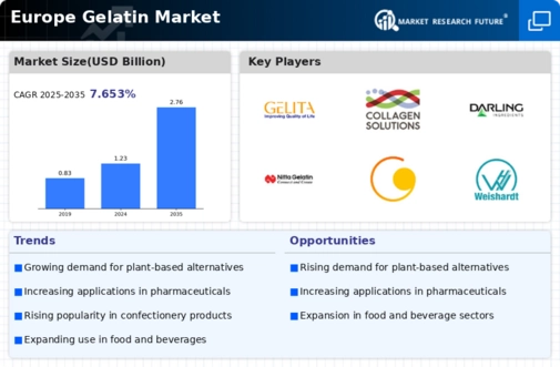 Europe Gelatin Market Infographic