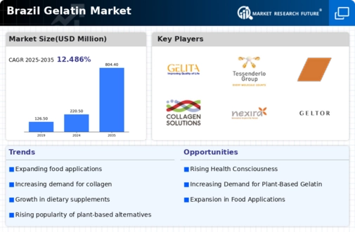 Brazil Gelatin Market Infographic