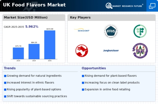 UK Food Flavors Market Infographic