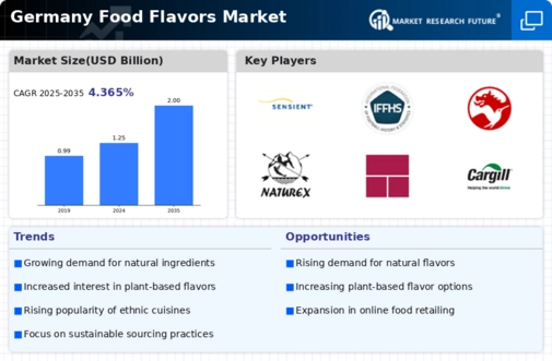Germany Food Flavors Market Infographic