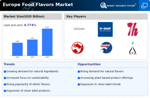 Europe Food Flavors Market Infographic
