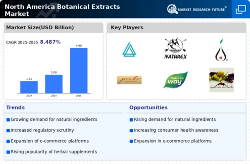 North America Botanical Extracts Market Infographic