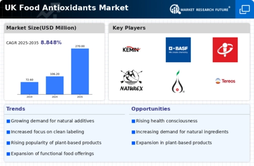 UK Food Antioxidants Market Infographic
