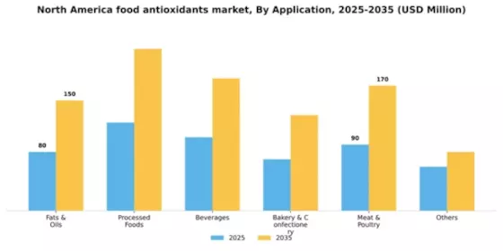 North America Food Antioxidants Market Segment Image 0