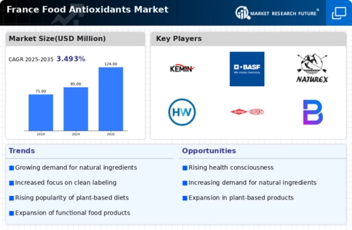 France Food Antioxidants Market Infographic
