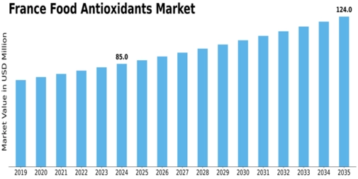 France Food Antioxidants Market Size